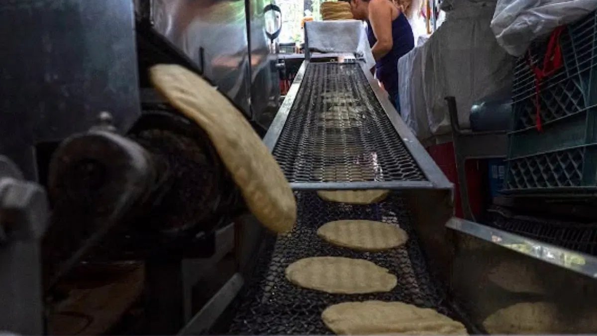 Sader descarta alza general de la tortilla y asegura que hay suficiente maíz blanco