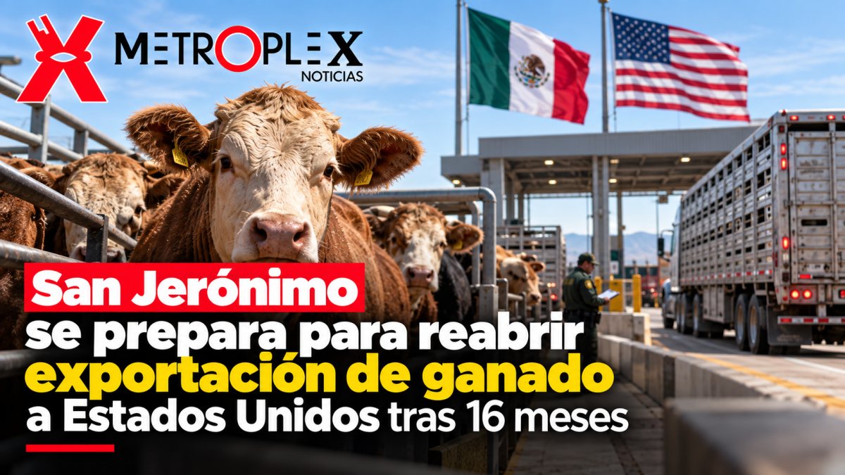 San Jerónimo se prepara para reabrir exportación de ganado a Estados Unidos tras 16 meses
