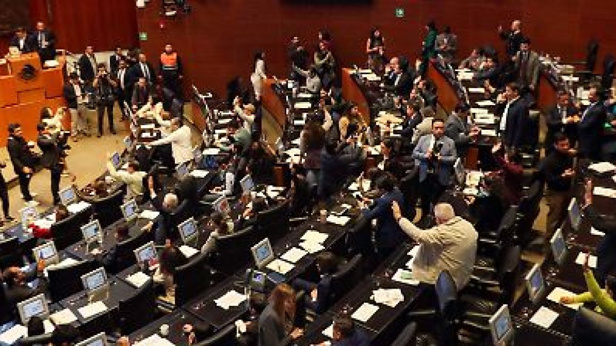 Comisiones del Senado avalan reforma de nacionalidad única y la envían al Pleno