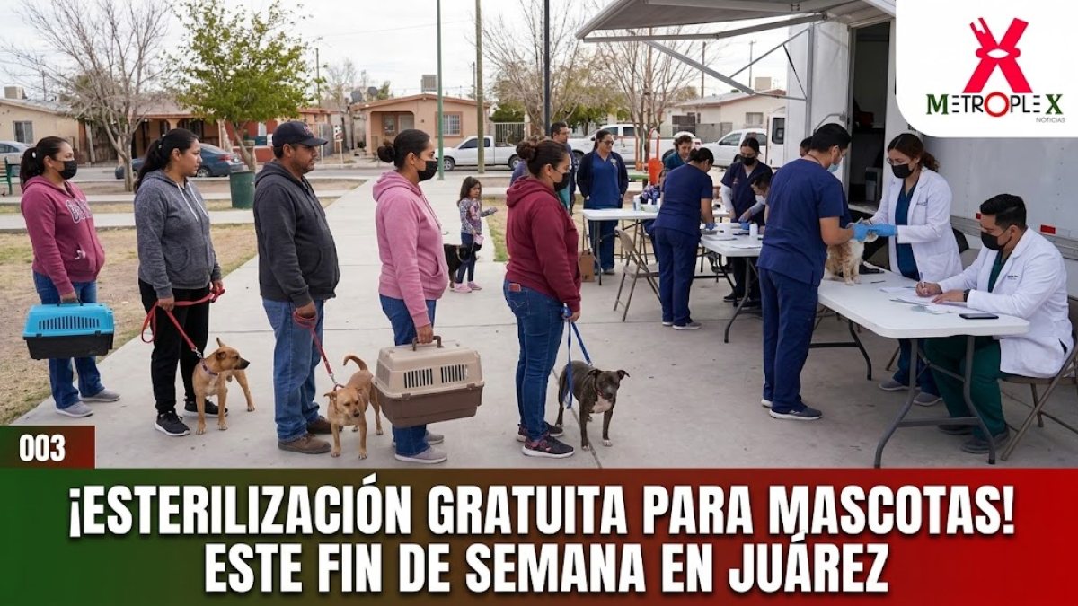 Esterilizaciones gratuitas para perros y gatos este fin de semana en dos colonias de Juárez