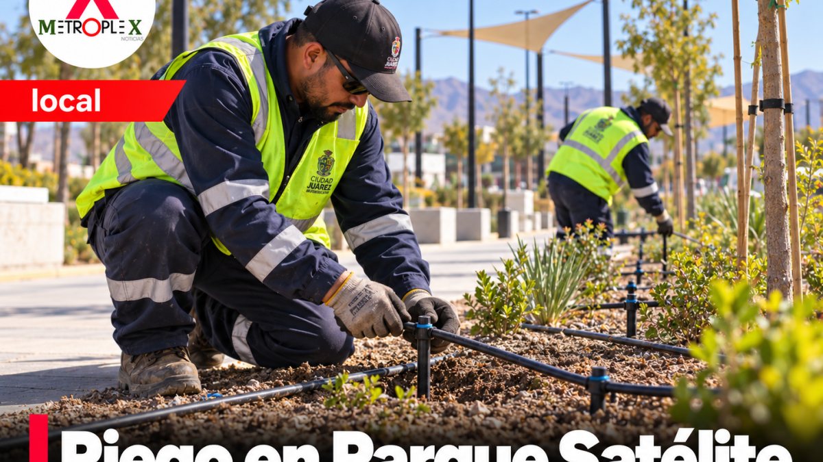 Ciudad Juárez: instalan riego por goteo en el Parque Lineal Satélite